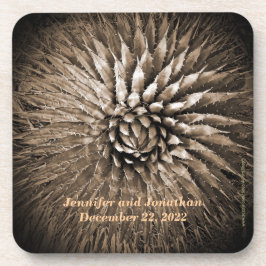 名前、南西アガベセピアタンブラウン コースター