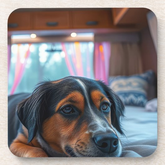 名前: 眠れる犬の夢 コースター (正面)
