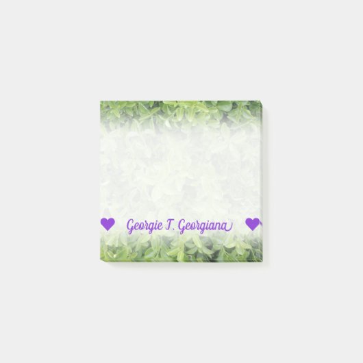 名前; 緑の両掛けの低木のタイプ植物の写真 ポストイット (正面)