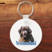 名前Brown Newfoundland キーホルダー (正面)