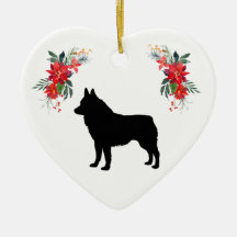名前PoinsettiaのSchipperkeシルエット