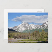 名勝シーワード街道中河国立林 ポストカード (正面/裏面)