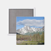 名勝シーワード街道中河国立林 マグネット (正面/裏面)