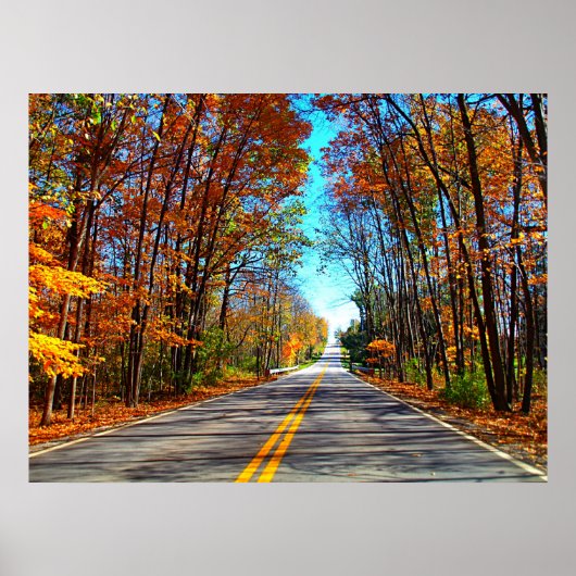 名勝ドライブ ポスター (正面)