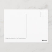 ©名古屋・熱田神社着物の可愛らしい少女 ポストカード (裏面)