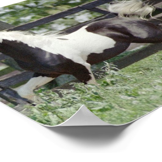 名声の夜 ポスター (角)