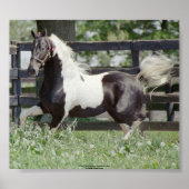 名声の夜 ポスター (正面)