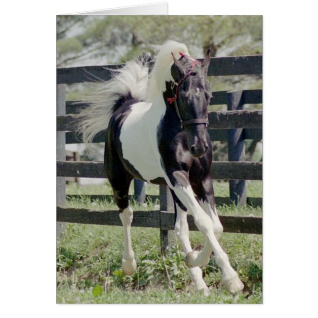 名声のNite (正面)