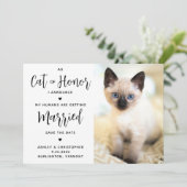 名誉ある猫 セーブザデート (スタンド正面)