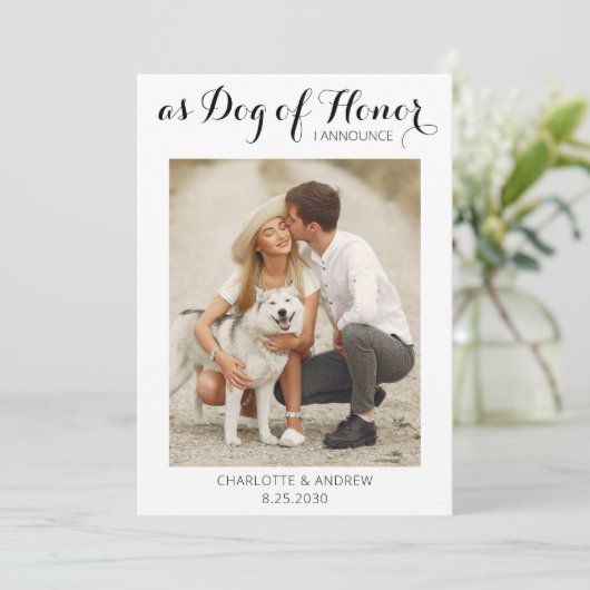 名誉の犬のたった今結婚しました結婚の発表 セーブザデート (スタンド正面)