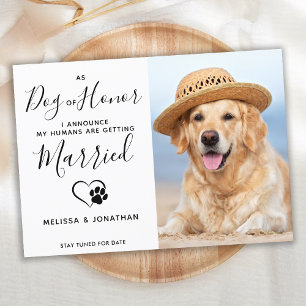 名誉の犬 現代の写真 ペット ウェディング 婚約 案内状