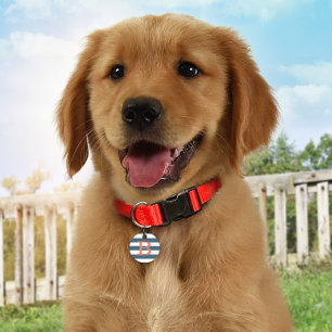 名門私立校風のストライプの石板ブルーモノグラムID犬ラベル ペット ネームタグ