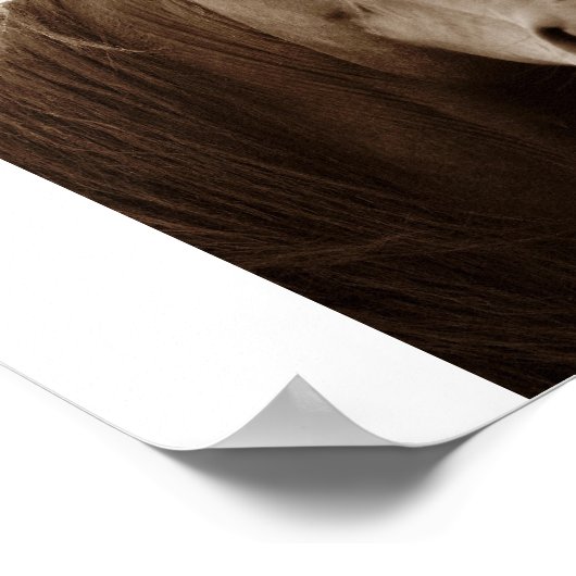 名馬 ポスター (角)