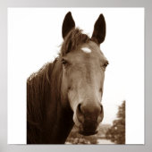 名馬 ポスター (正面)