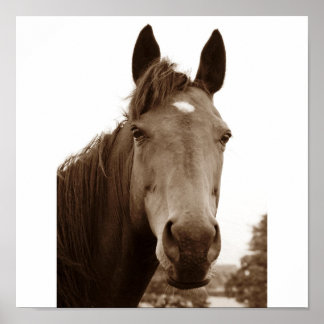 名馬 ポスター
