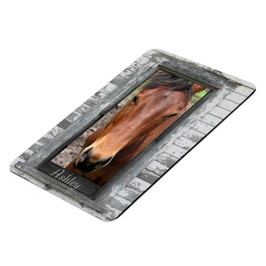 名馬 マグネット (左側)