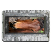 名馬 マグネット (横)