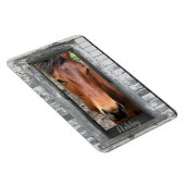 名馬 マグネット (右側)