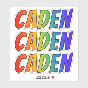 名「CADEN」(おもしろいレインボーカラーリング付き) シール