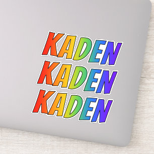名「KADEN」(おもしろいレインボーカラーリング付き) シール