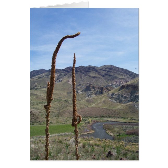 向こうに (正面)