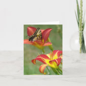 向こう驚異 カード (正面)