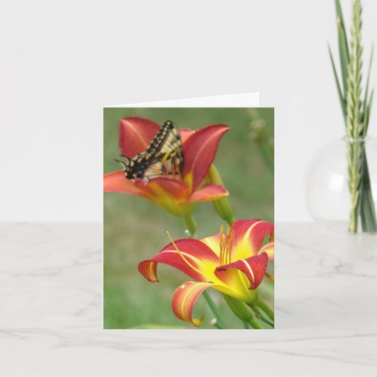 向こう驚異 カード (正面)