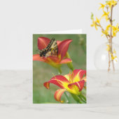 向こう驚異 カード (黄色い花)