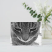 君がいないと同じじゃない… ポストカード (スタンド正面)