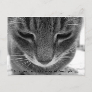 君がいないと同じじゃない… ポストカード