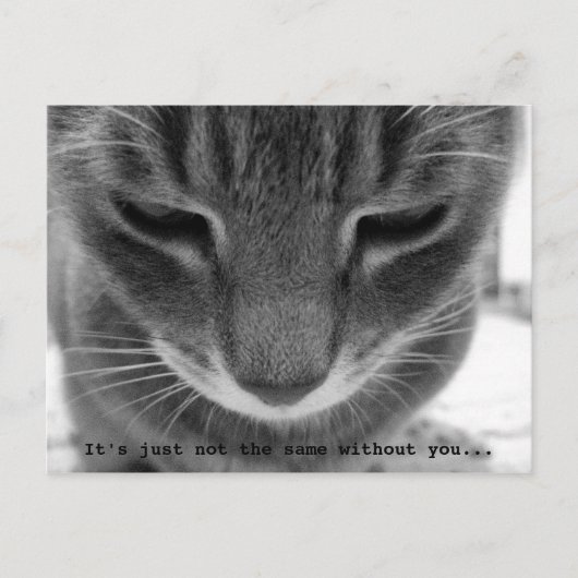 君がいないと同じじゃない… ポストカード (正面)