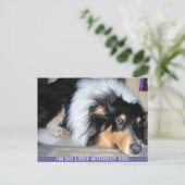 君がいなくて失ったも困る ポストカード (スタンド正面)