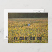 君がいな失ったいんだ！ ポストカード (正面/裏面)