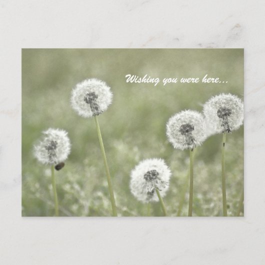 君がここにいたらいいのに… ポストカード (正面)