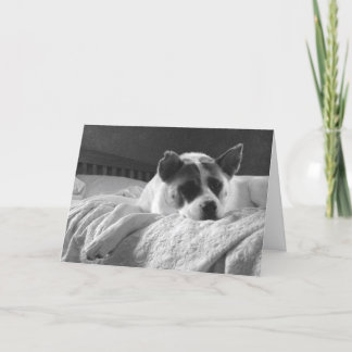 君がここにいたらよかったのに。 カード