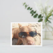 君がここにいたらよかったのに ポストカード (スタンド正面)