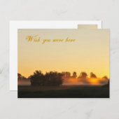 君がここにいたらよかったのに ポストカード (正面/裏面)