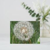 君がここにいたら宜しい ポストカード (スタンド正面)