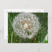 君がここにいたら宜しい ポストカード (正面/裏面)