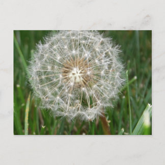 君がここにいたら宜しい ポストカード