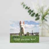 君がここにいたら! ポストカード (スタンド正面)