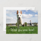 君がここにいたら! ポストカード (正面/裏面)