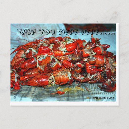 君がここにいたら…... ポストカード (正面)