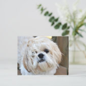 君がここにいることを望む ポストカード (スタンド正面)