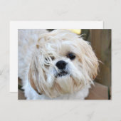 君がここにいることを望む ポストカード (正面/裏面)