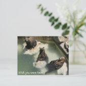 君がここにいればよかったのに ポストカード (スタンド正面)