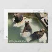 君がここにいればよかったのに ポストカード (正面/裏面)