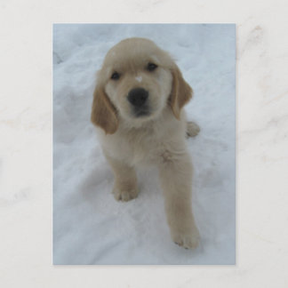 君がここにいれば ポストカード