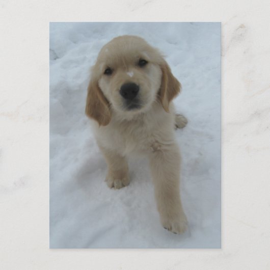 君がここにいれば ポストカード (正面)