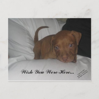 君がここにいれば… ポストカード